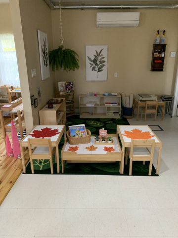 Intentional Space Intentional Space